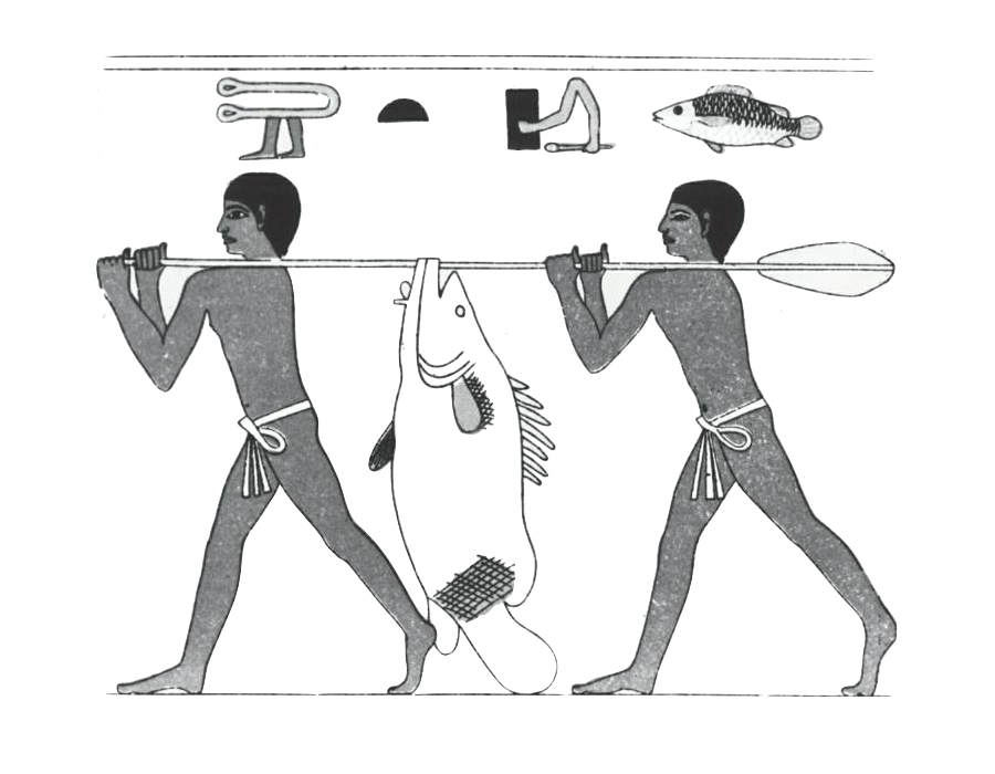 Fishing scene