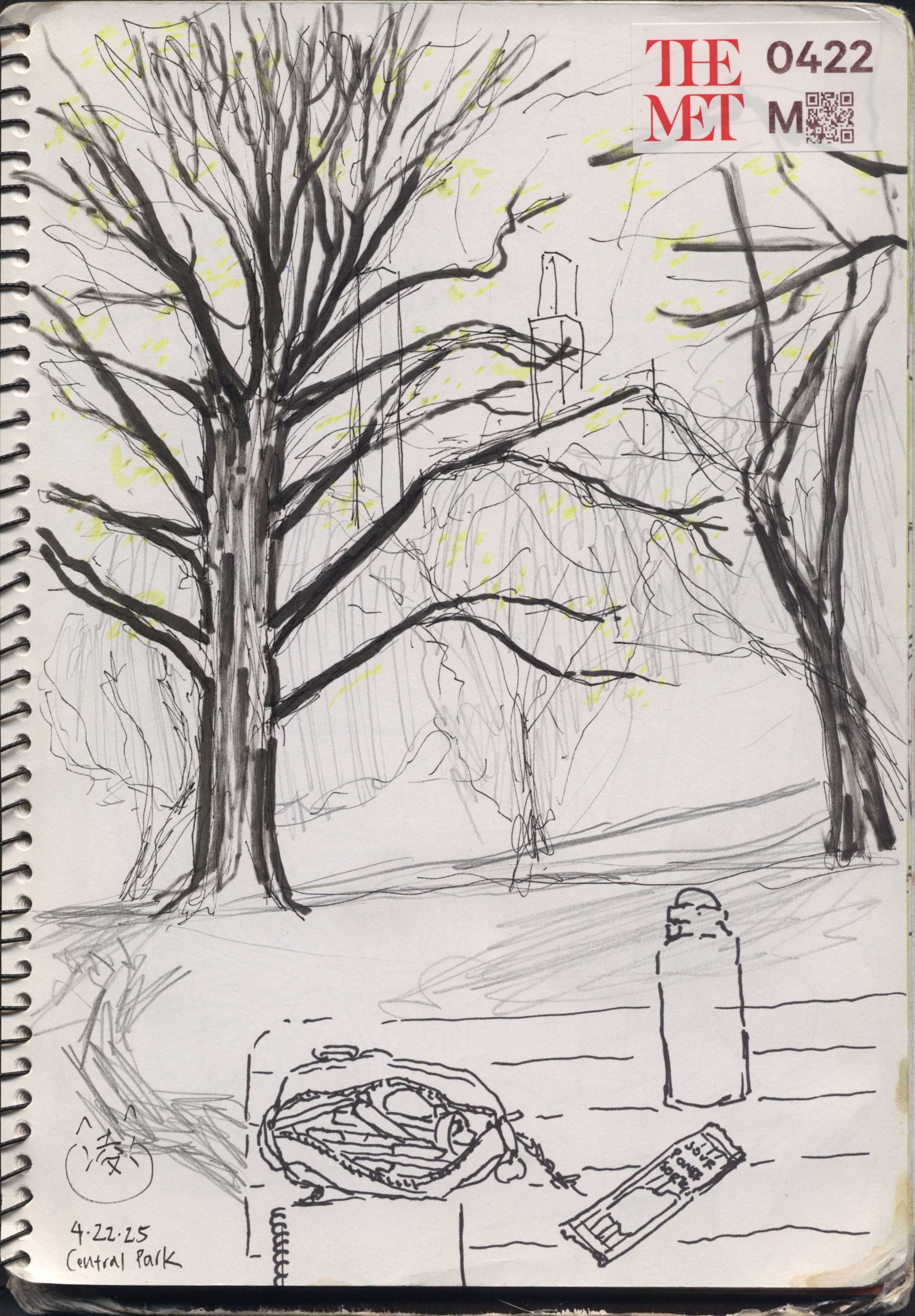 centralpark.jpg