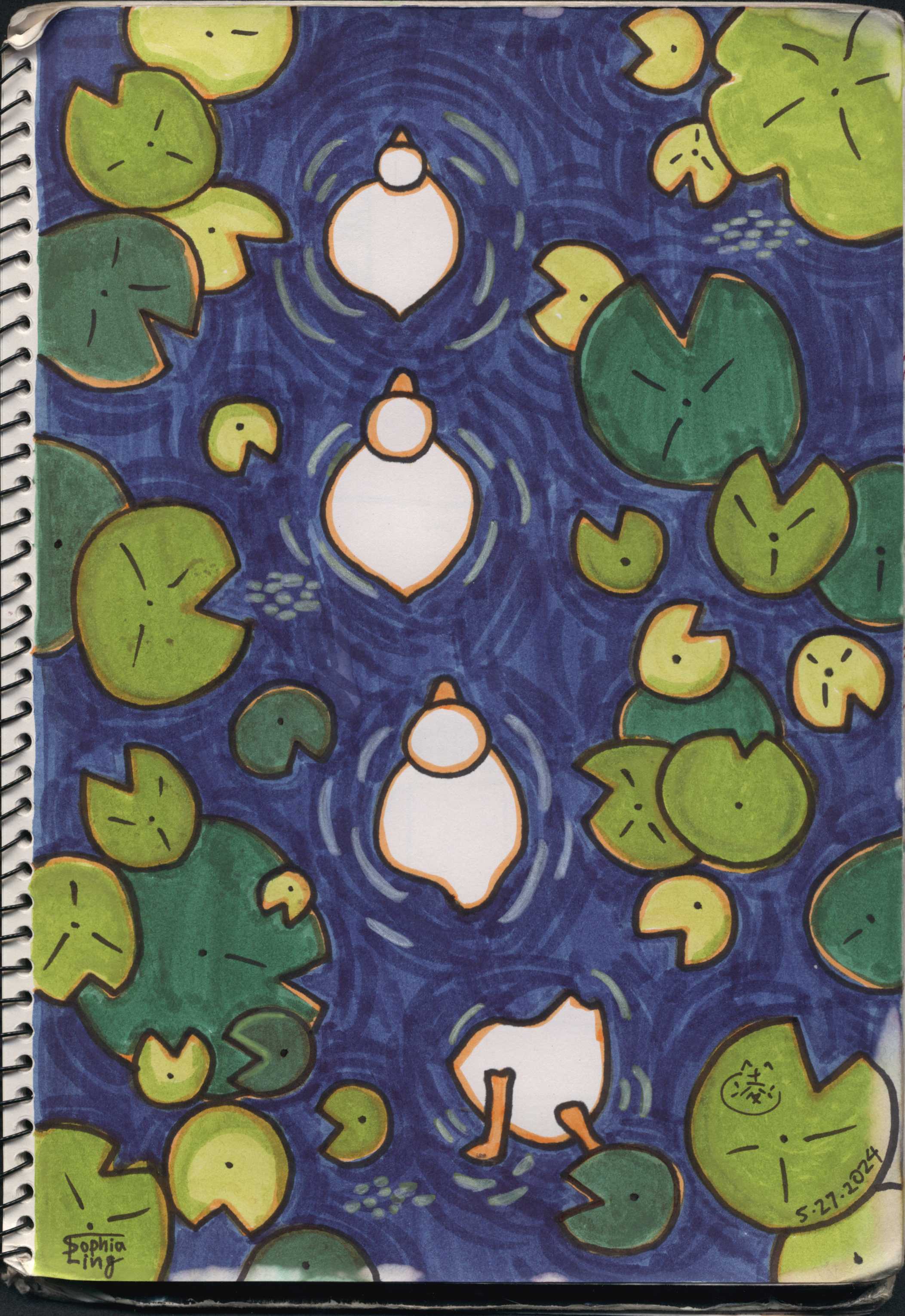 ducks.jpg
