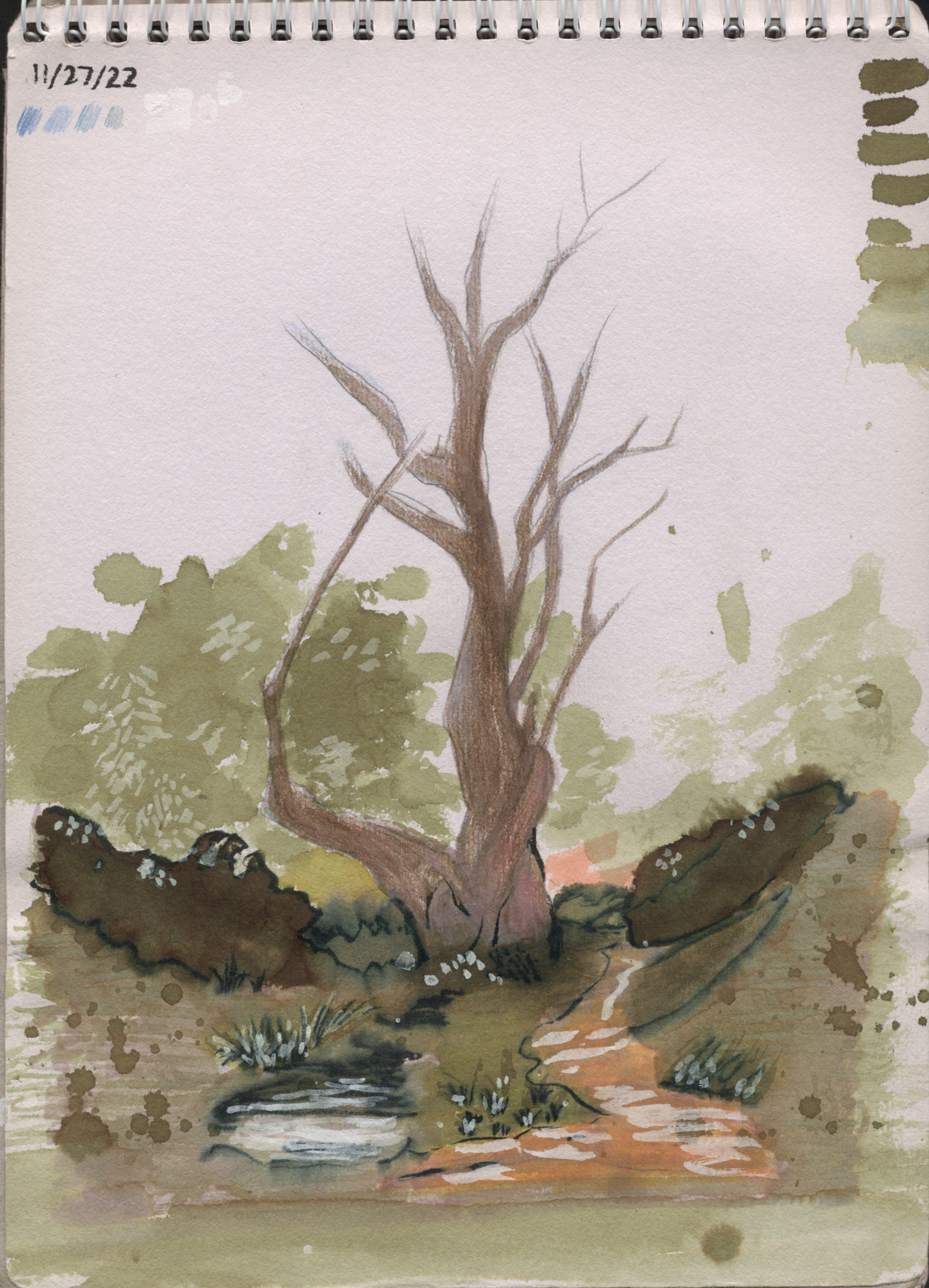woods.png